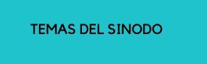 Temas del Sinodo