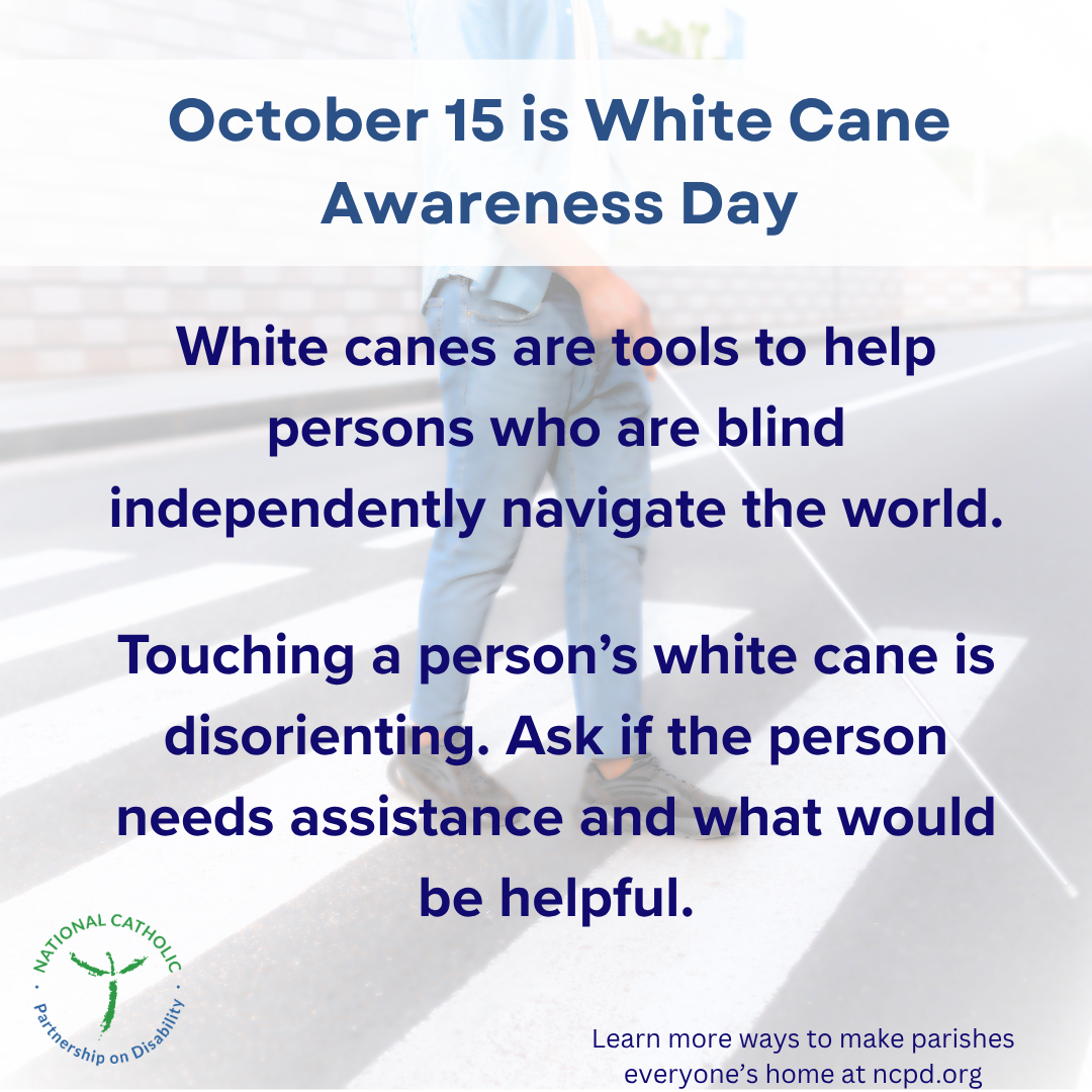 Oct 15 is white cane awareness day. White canes are tools for independent navigation.
