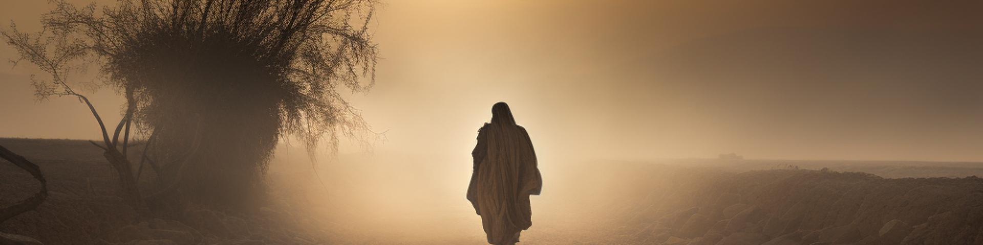 A man walking on a dusty road