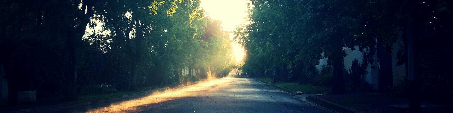 sun shining through trees on a dirt road