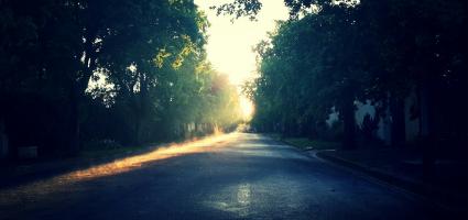 sun shining through trees on a dirt road 