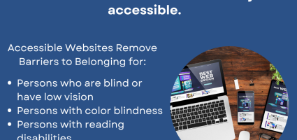 Fact Check: Website Accessibility
