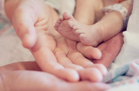 baby's feet and mother's hand