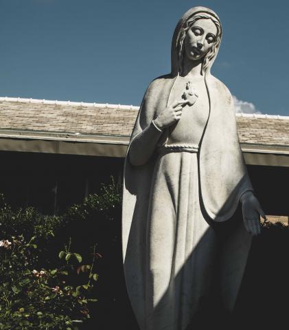 Our Lady, Comforter of the Afflicted