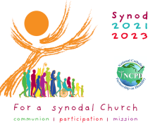 Sínodo logo