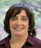 Mary O'Meara