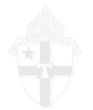 More than inclusion: How Catholics are renewing disability ministry